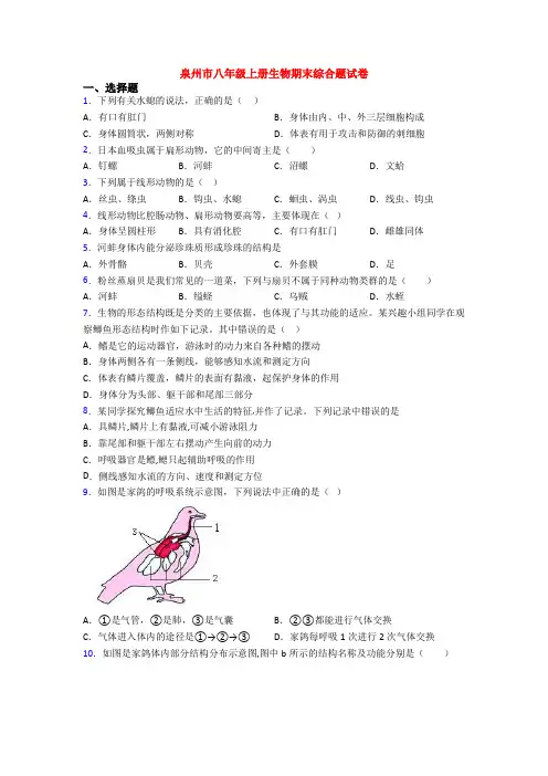 泉州市八年级上册生物期末综合题试卷