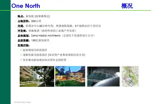 国际案例分析新加坡OneNorth课件