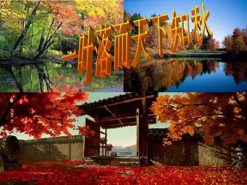 四年级上册语文课件-4 秋天｜苏教版 (共18张PPT)