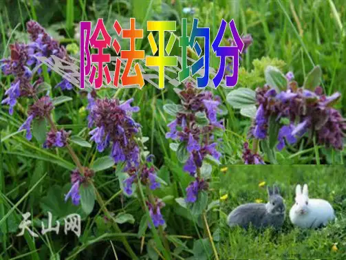 人教版二年级数学下册《表内除法平均分》PPT课件
