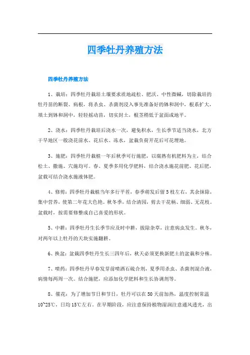 四季牡丹养殖方法