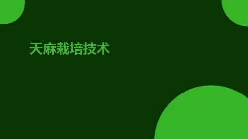 天麻栽培技术