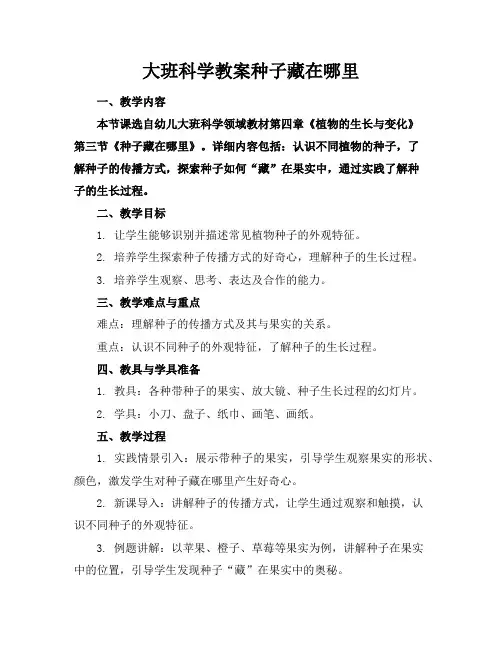 大班科学教案种子藏在哪里