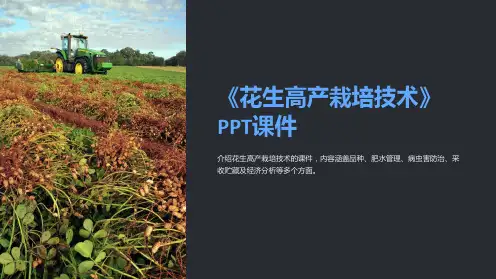 《花生高产栽培技术》课件