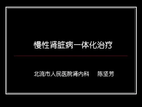 慢性肾脏病一体化治疗