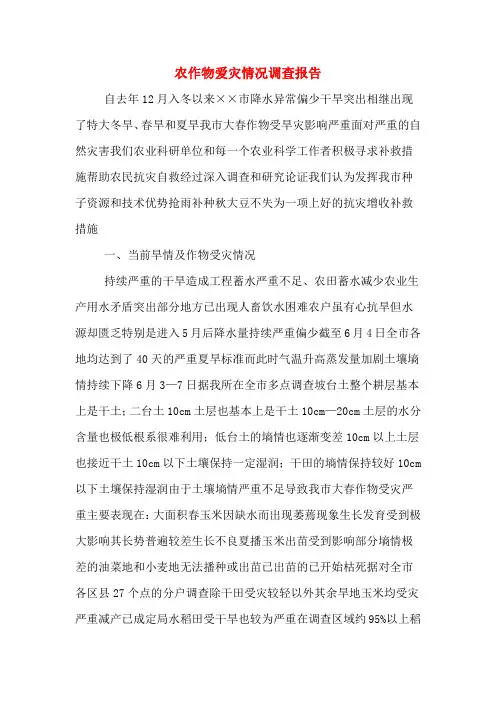 2019年农作物爱灾情况调查报告