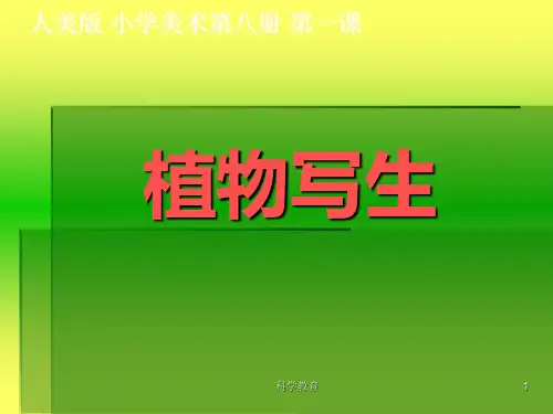 植物写生_美术课件(古柏优讲)