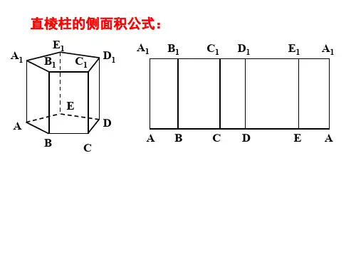 棱柱的面积和体积