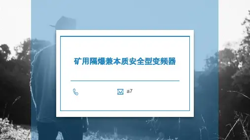 矿用隔爆兼本质安全型变频器