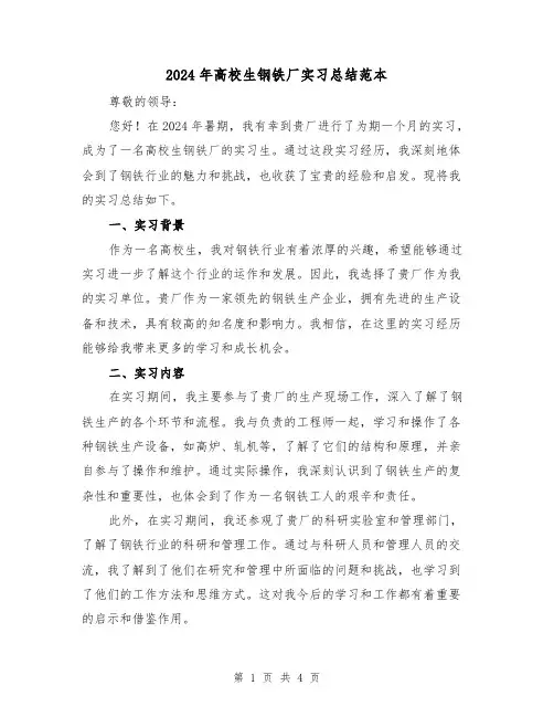2024年高校生钢铁厂实习总结范本(2篇)
