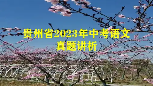贵州省2023年中考题(语文)精讲精析课件