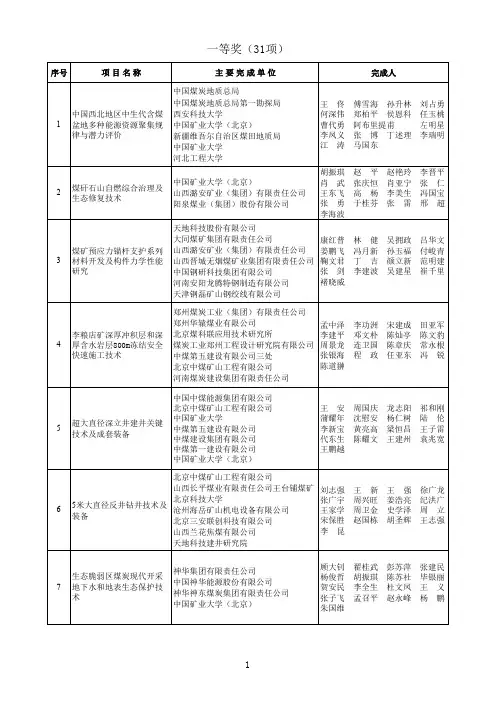 2013年度中国煤炭工业协会科学技术奖获奖项目