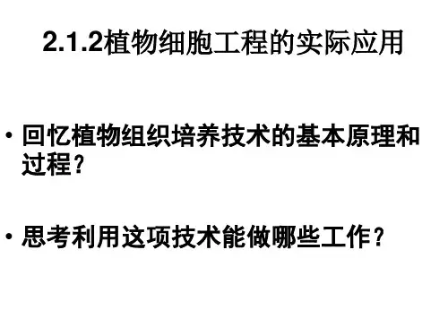 生物：2.1.2《植物细胞工程的实际应用》课件(新人教版选修3)