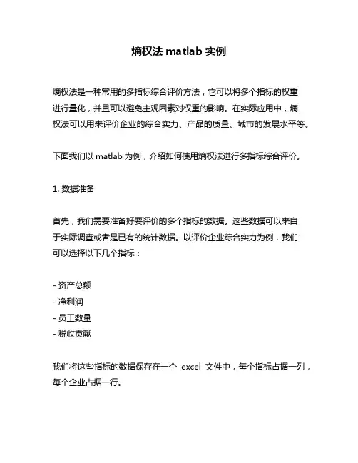熵权法matlab实例
