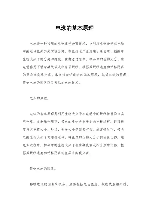电泳的基本原理