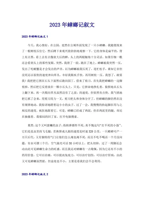 2023年蟑螂记叙文