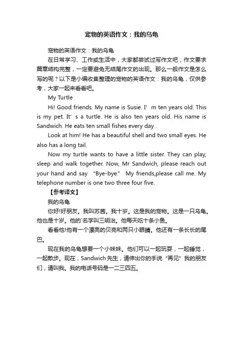 宠物的英语作文：我的乌龟