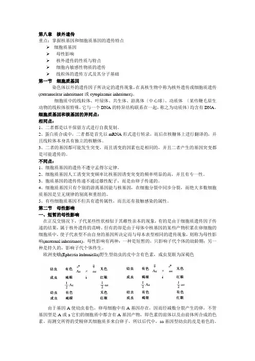 第八章-核外遗传