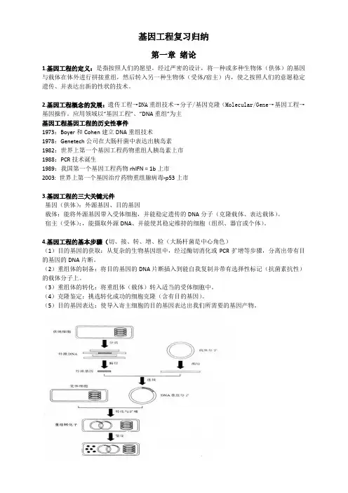 大学基因工程复习归纳重点复习资料