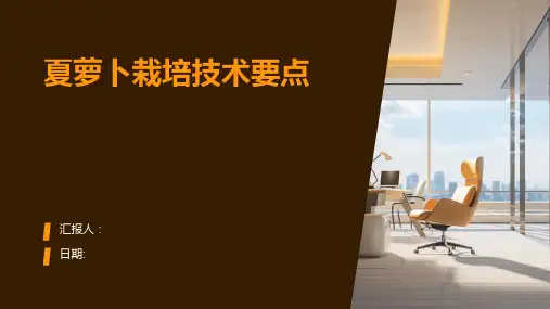 夏萝卜栽培技术要点