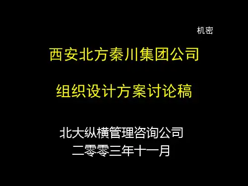 北大纵横-—西安秦川—北方秦川组织结构讨论稿-5个备选方案打印版