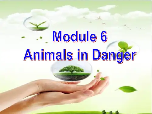 外研版必修5Module6AnimalsinDanger--writing教学课件