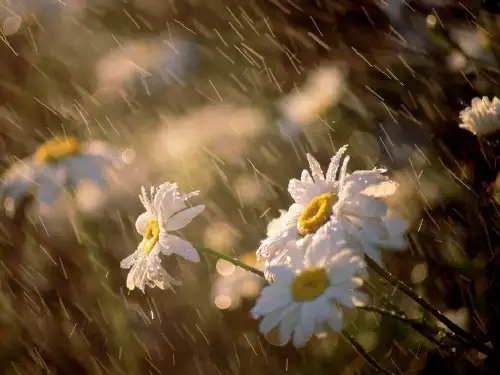 梅雨时节