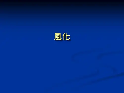 风化 PPT