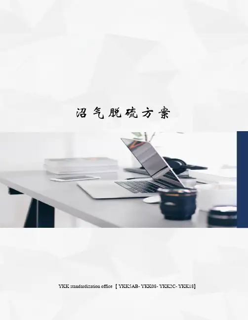 沼气脱硫方案审批稿