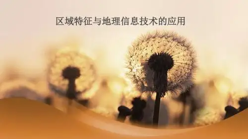 2019年高考地理二轮复习专题之《区域特征与地理信息技术的应用》课件(共64张PPT)