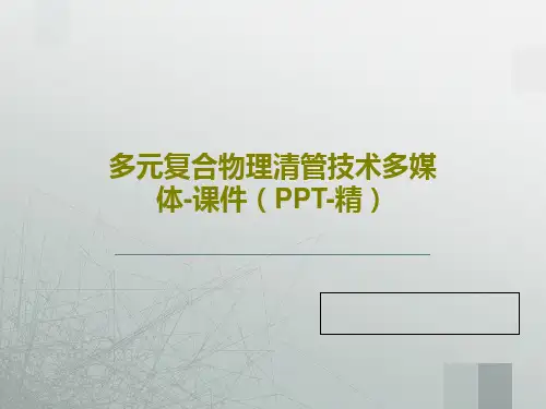 多元复合物理清管技术多媒体-课件(PPT-精)29页PPT