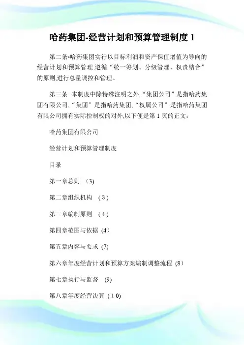 哈药集团-经营计划和预算管制制度1.doc