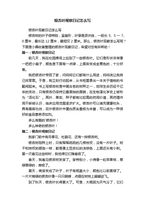 银杏叶观察日记怎么写