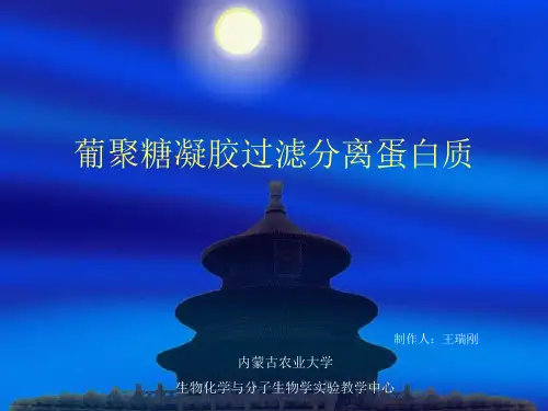 葡聚糖凝胶过滤分离蛋白质