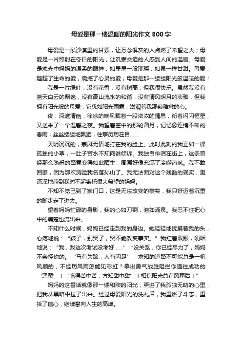 母爱是那一缕温暖的阳光作文800字