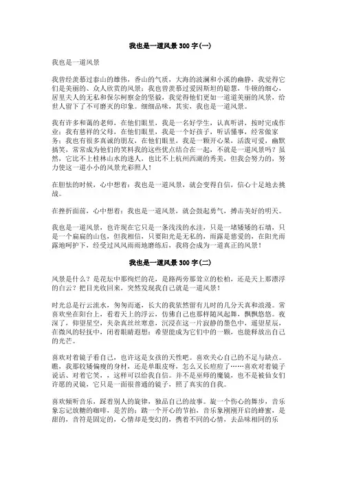 我也是一道风景300字