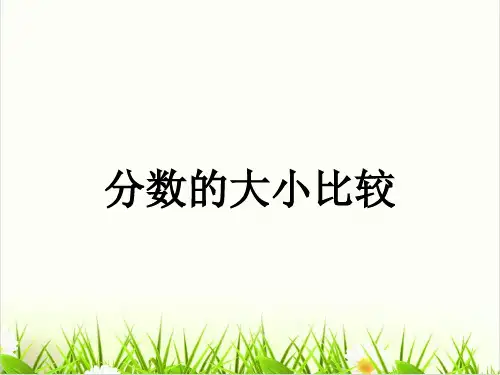 数学人北师大版《分数的大小》讲练课件1