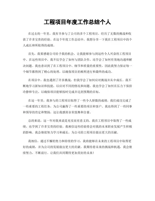 工程项目年度工作总结个人