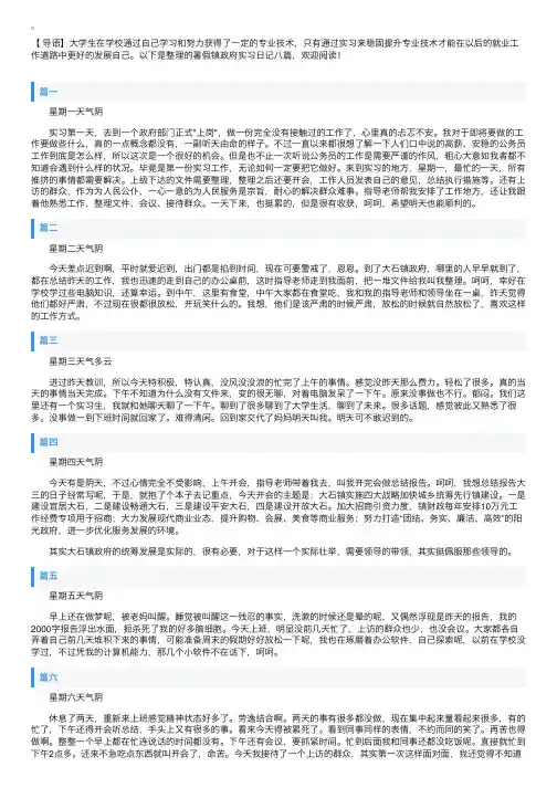 暑假镇政府实习日记八篇