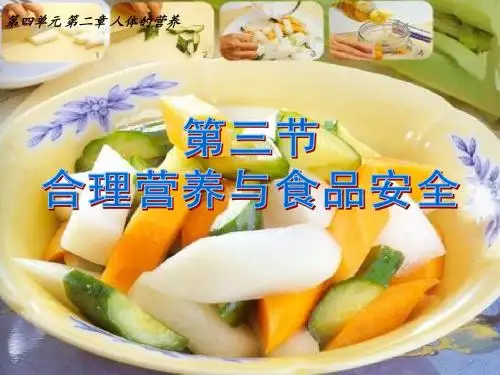 七年级下册生物 第四单元第二章第三节 合理营养与食品安全