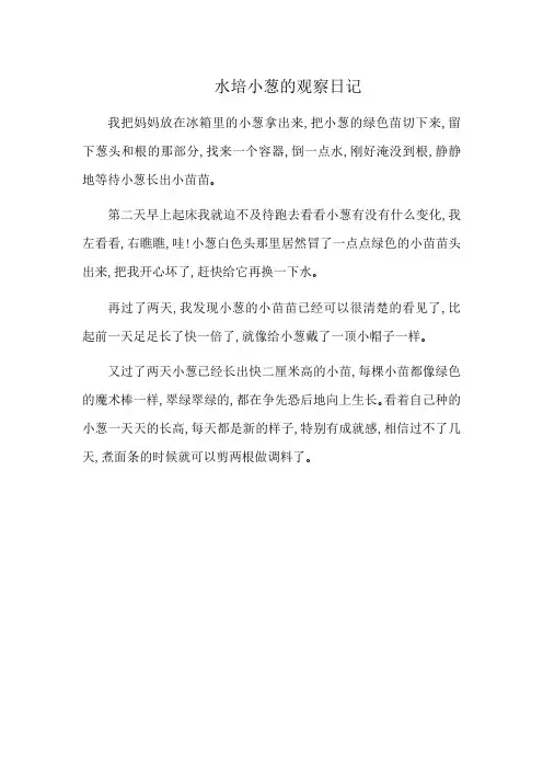 水培小葱的观察日记
