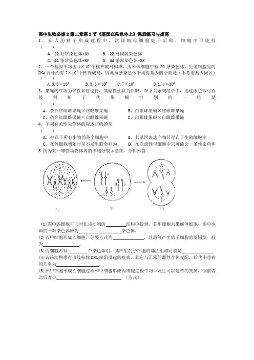 高中生物必修2第二章第2节《基因在染色体上》课后练习与提高