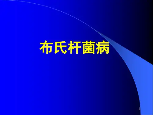 布氏杆菌病