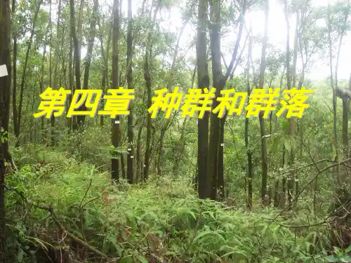 人教版高中生物二轮复习  种群和群落 课件 (共24张PPT)
