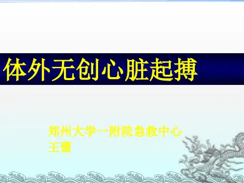 《体外起搏》PPT课件