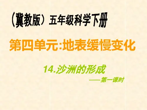 (五下)科学优秀课件-4.14 沙洲的形成｜冀教版 PPT(24页)
