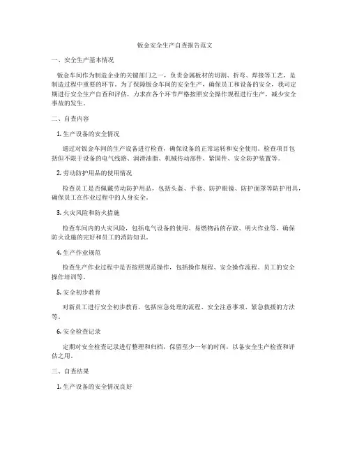 钣金安全生产自查报告范文