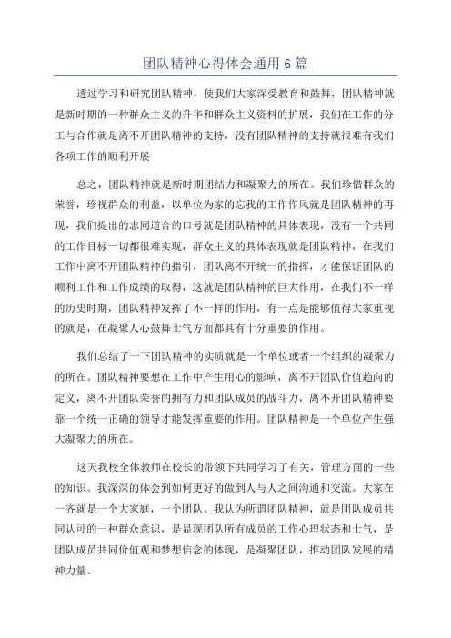 团队精神心得体会通用6篇