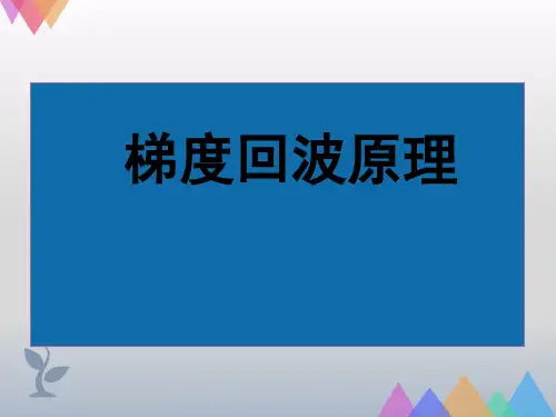 讲座五-梯度回波