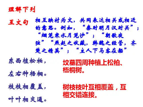 孔雀东南飞字词整理